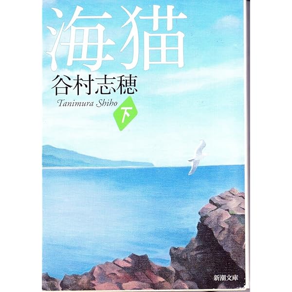 海猫 [DVD] Amazon.co.jp: 海猫 [レンタル落ち] : 伊東美咲, 佐藤浩市, 仲村